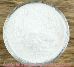 China Manufacturer Sales Highest Quality Carboxymethyl Hydroxypropyl Guar Gum CAS 68130-15-4 For stock delivery