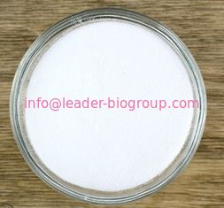 China Factory Supply Citicoline/CDP-Choline Inquiry: info@leader-biogroup.com