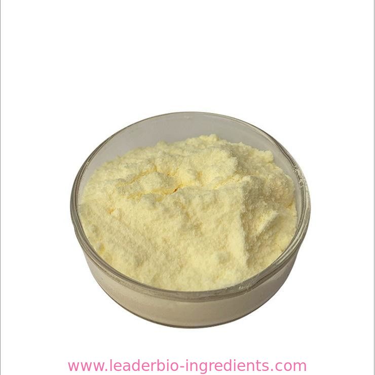 China Northwest Factory Manufacturer Riboflavin/Vitamin B2 Cas 83-88-5 For stock delivery