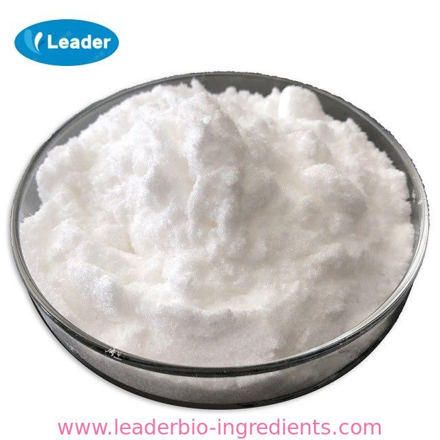China Largest Factory Manufacturer Sodium Stearoyl Lactylate CAS 25383-99-7 For stock delivery
