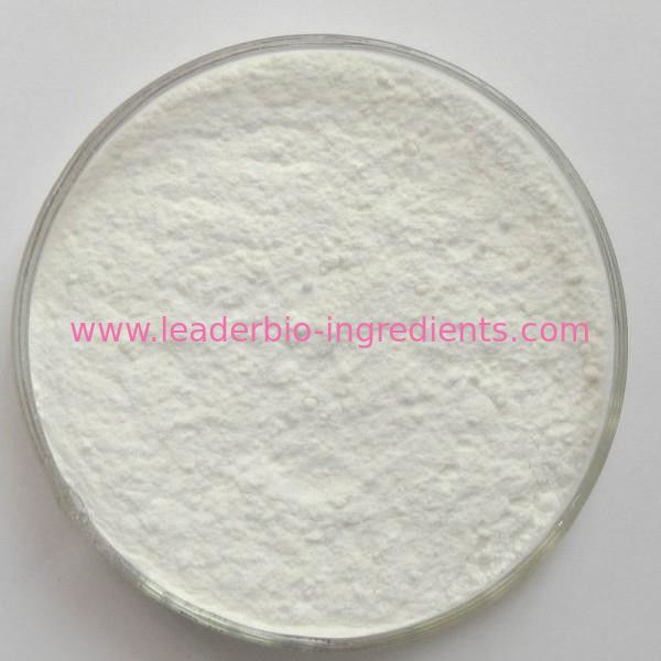 China biggest Factory Manufacturer Supply Cocopropylenediamine(GAT) CAS 85681-60-3  Inquiry: Info@Leader-Biogroup.Com