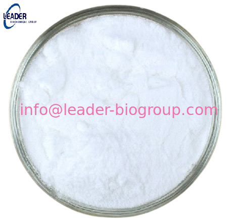 China biggest Factory  Supply CAS: 614-19-7  3-Amino-3-phenylpropionic acid  Inquiry: Info@Leader-Biogroup.Com